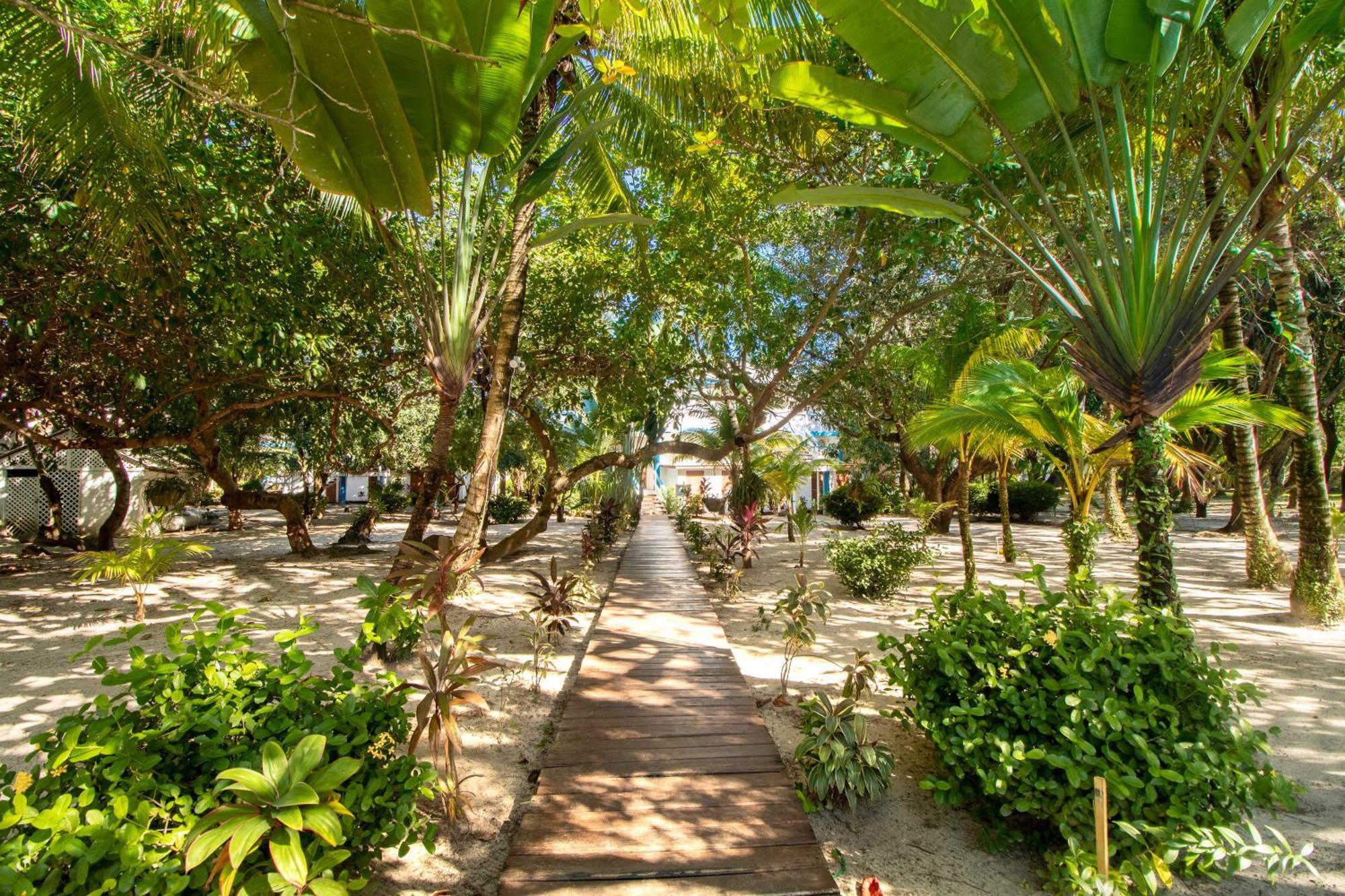 Condo #24 @ Beachside Villas Placencia エクステリア 写真